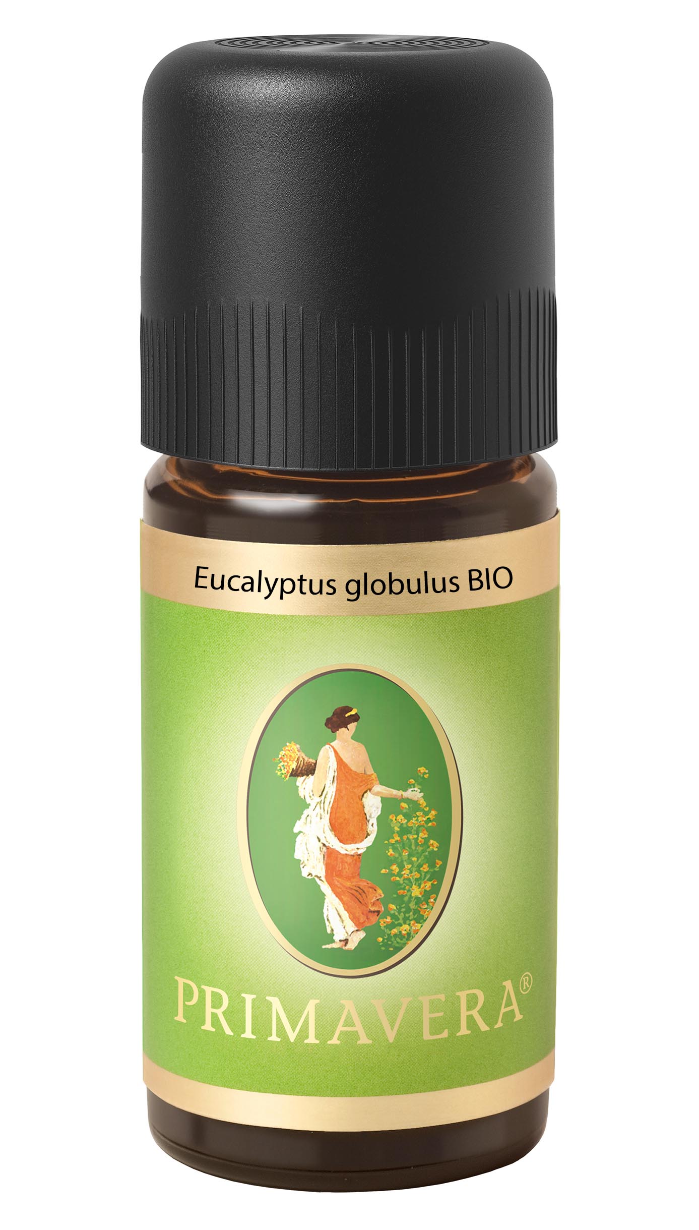 Eucalyptus globulus BIO